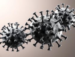Adenovirus Cases Rise in Indonesia: What You Need to Know
