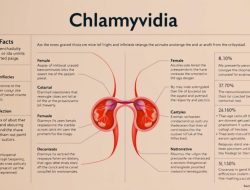 Penyakit Chlamydia: Fakta dan Informasi Penting