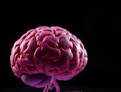 Mengenal Glioblastoma: Penyakit Otak yang Mematikan