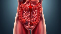 Penyakit Hematochezia: Apa yang Perlu Anda Ketahui?
