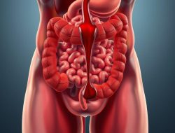 Penyakit Hematochezia: Apa yang Perlu Anda Ketahui?