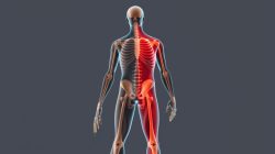 Penyakit Hemiplegia: Mengatasi Kelumpuhan Setengah Badan