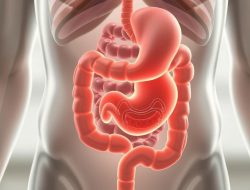 Memahami Penyakit Gastroparesis: Gejala, Penyebab, dan Pengobatan