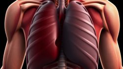 Hemothorax: Penyakit yang Perlu Diwaspadai dan Ditangani