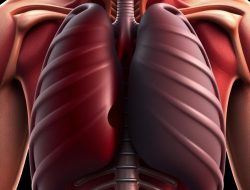 Hemothorax: Penyakit yang Perlu Diwaspadai dan Ditangani