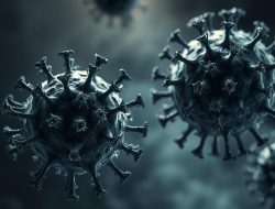 Mengenal Penyakit Herpes: Fakta Penting yang Harus Diketahui